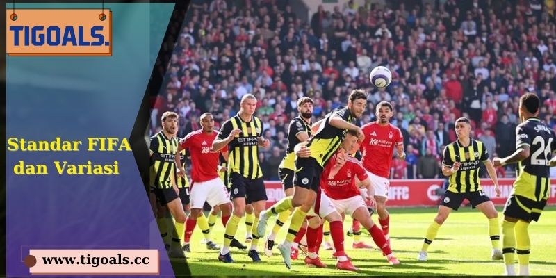Standar FIFA dan Variasi